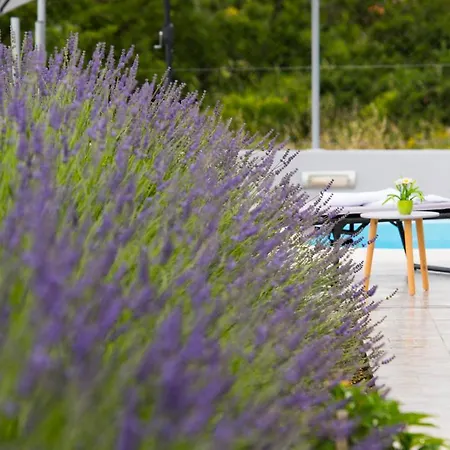Mountain House Kajko With Pool & Free Parking On Site *