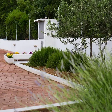 Mountain House Kajko With Pool & Free Parking On Site Villa *