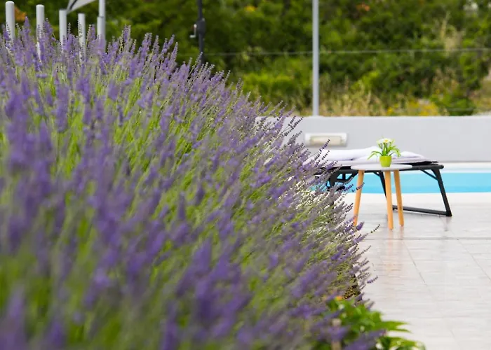 Mountain House Kajko With Pool & Free Parking On Site *